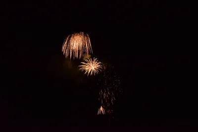 DSC_3395 (Large).JPG